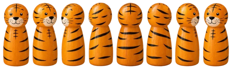 Tijger, van alle kanten gefotografeerd